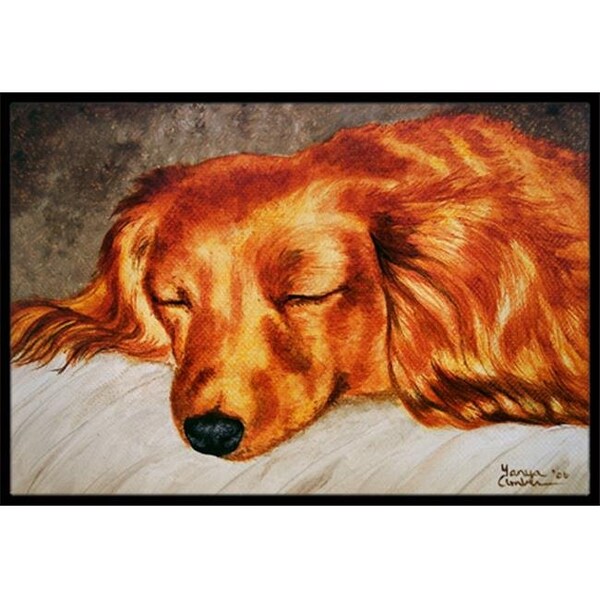 Carolines Treasures AMB1202JMAT Red Longhaired Dachshund Indoor or Outdoor Mat; 24 x 36 AMB1202JMAT - main